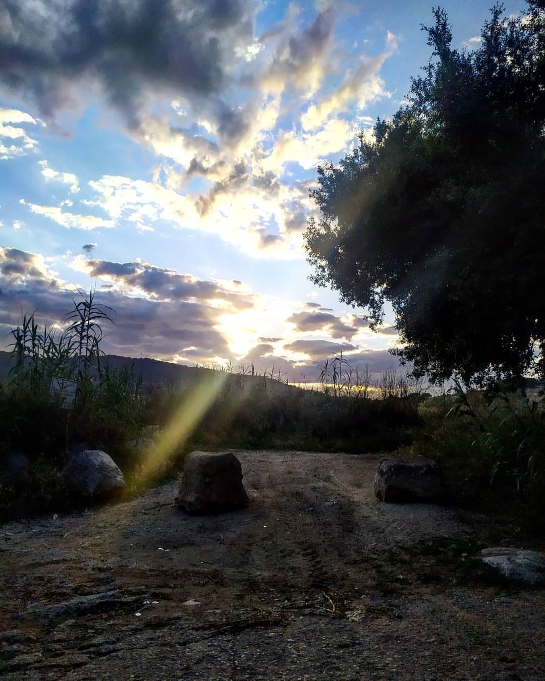Vive Tu Propia Luz